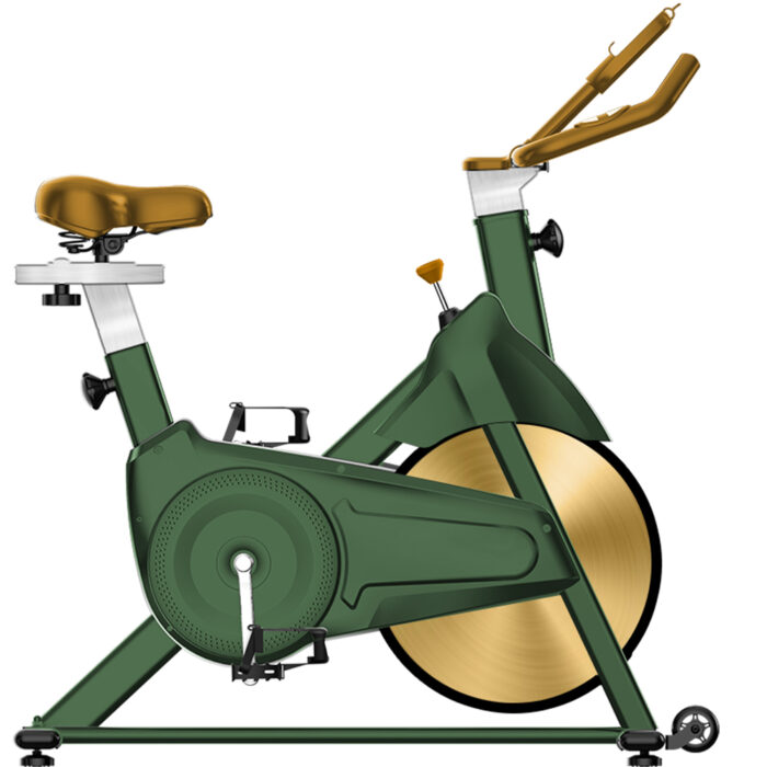 Indoor-Fitness-Professional-Body-Building-Spin-Bike-Home-Exercise-Green